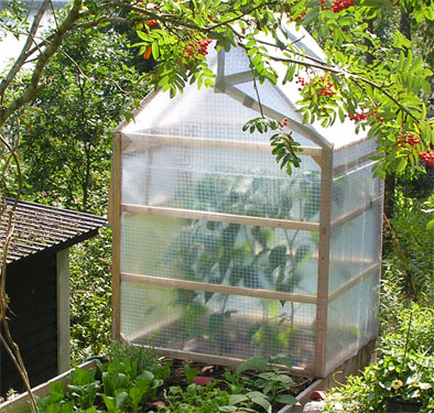 växthus i plast för vinterförvaring