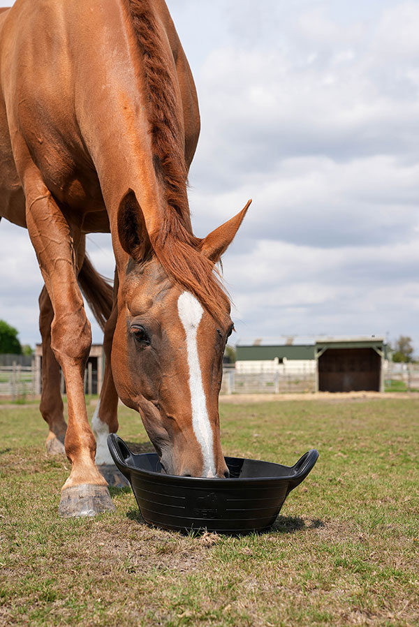 Red Gorilla Rubber Type S1 S2