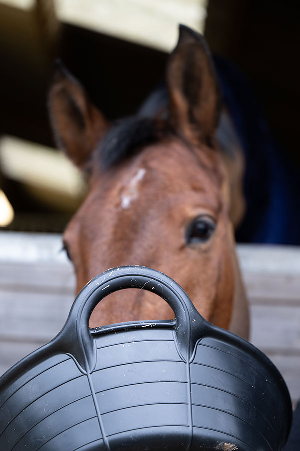 Red Gorilla® Rubber Type S2 Medium Skip - Bild 6