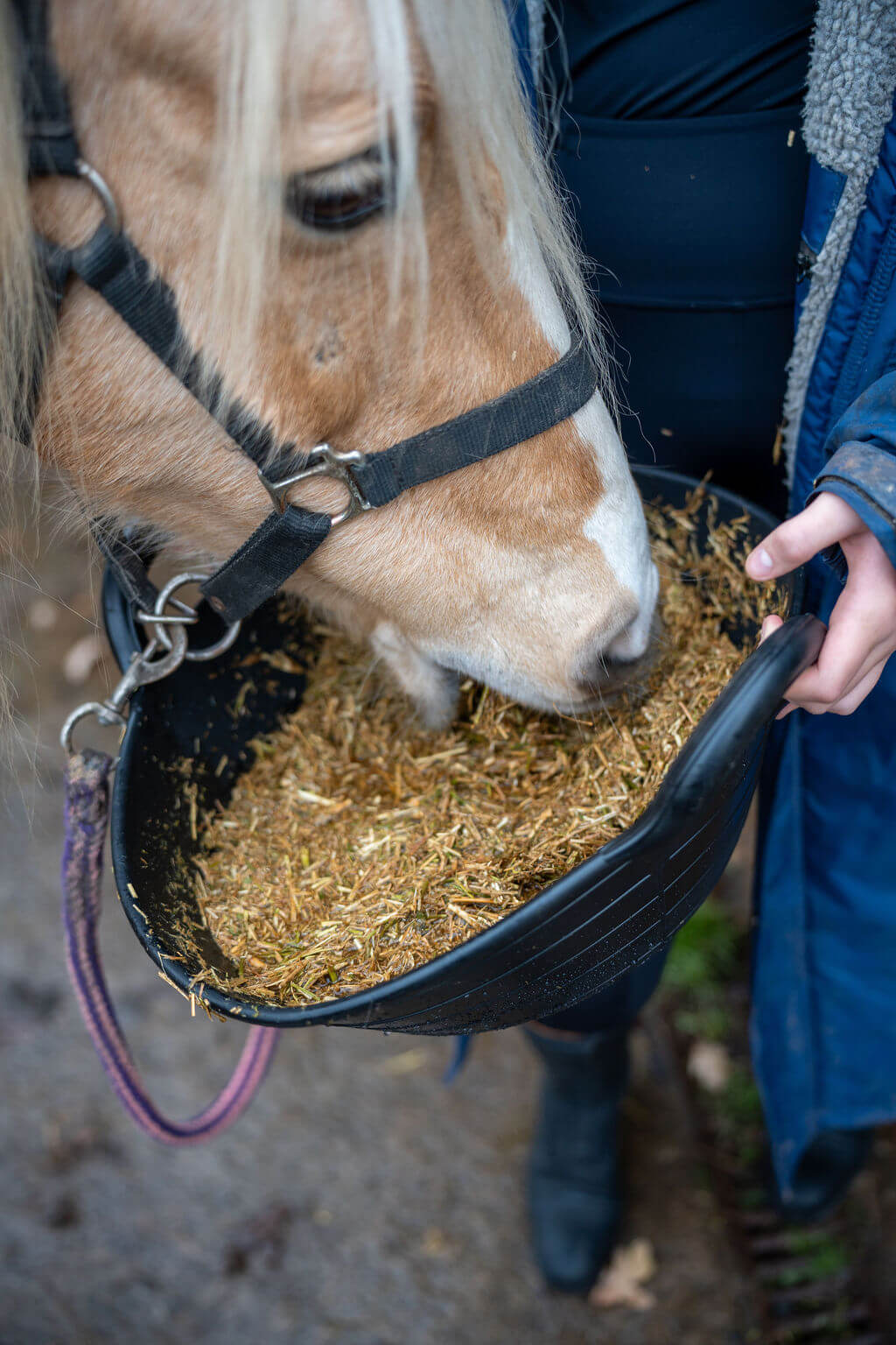 Red Gorilla Rubber Type S1 S2
